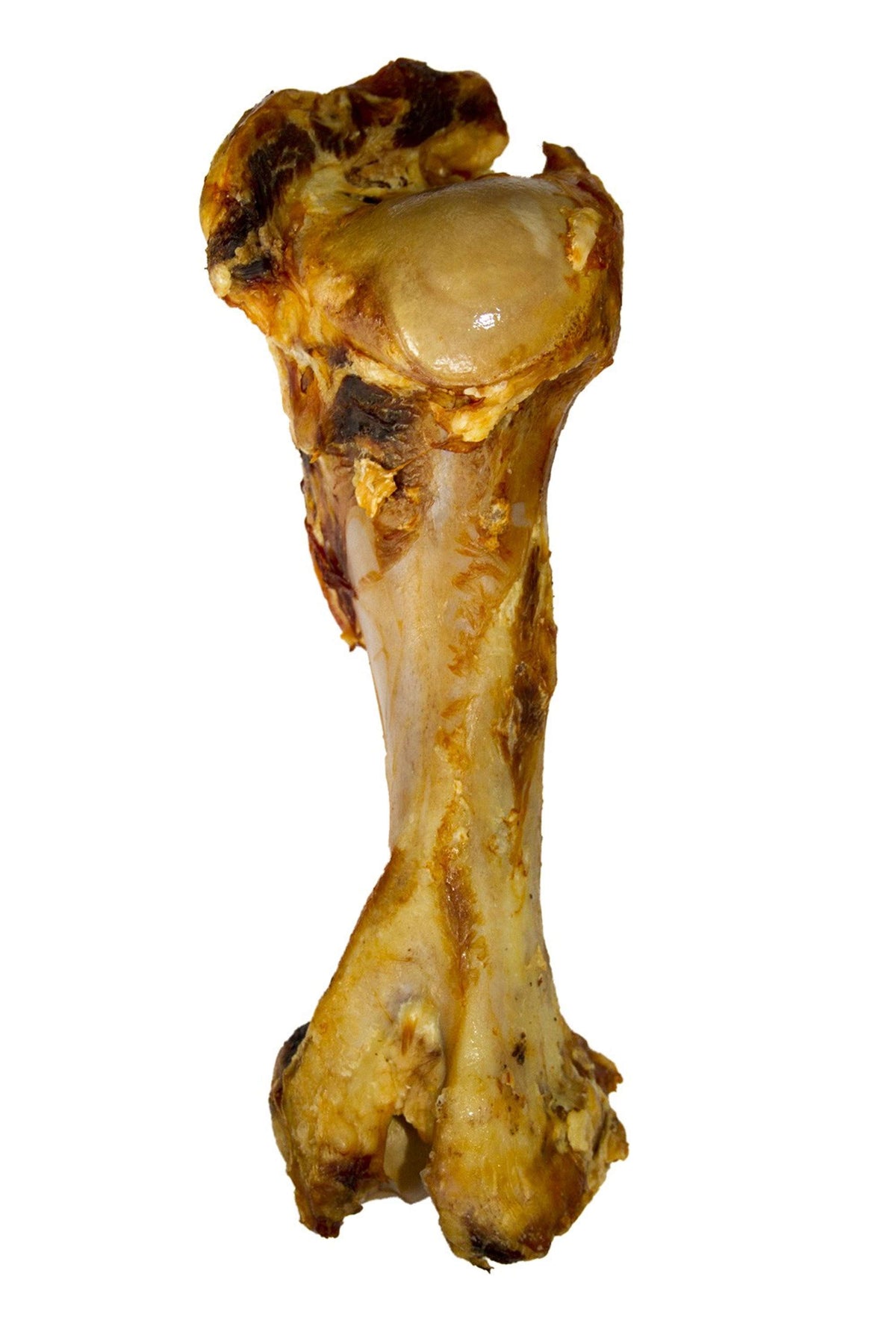 Voskes Osso di Manzo