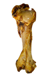 Voskes Osso di Manzo