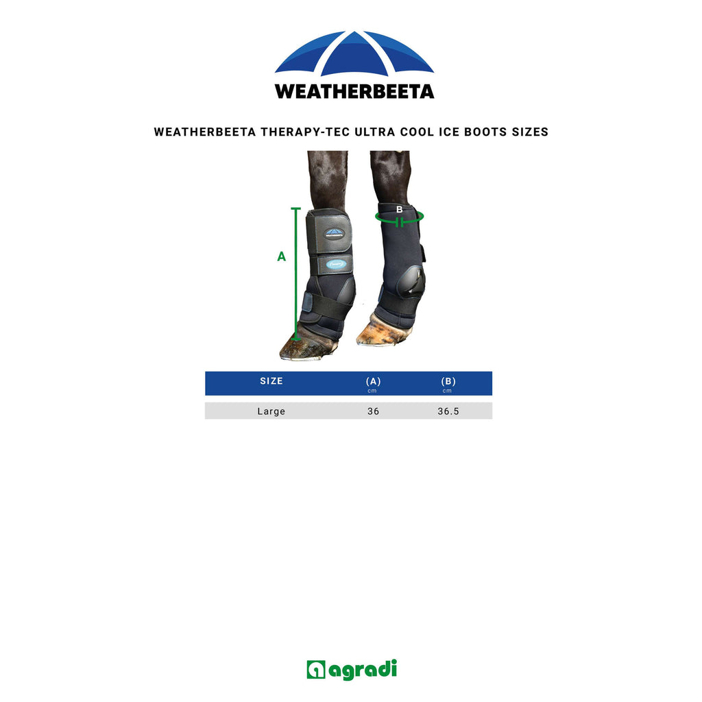 WeatherBeeta Stivali da ghiaccio Therapy-Tec II Ultra Cool Nero