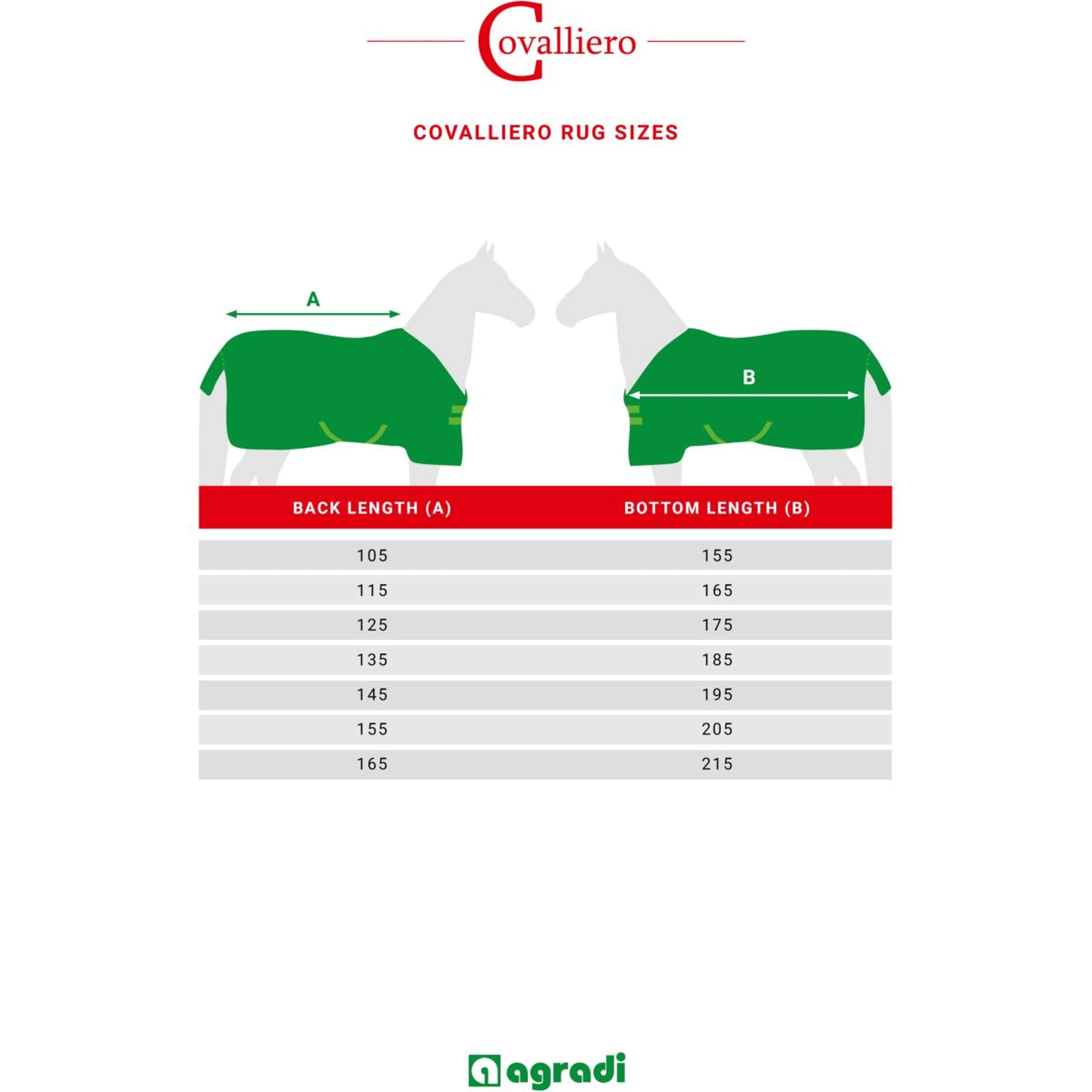 RugBe by Covalliero Coperta per giostra Nero