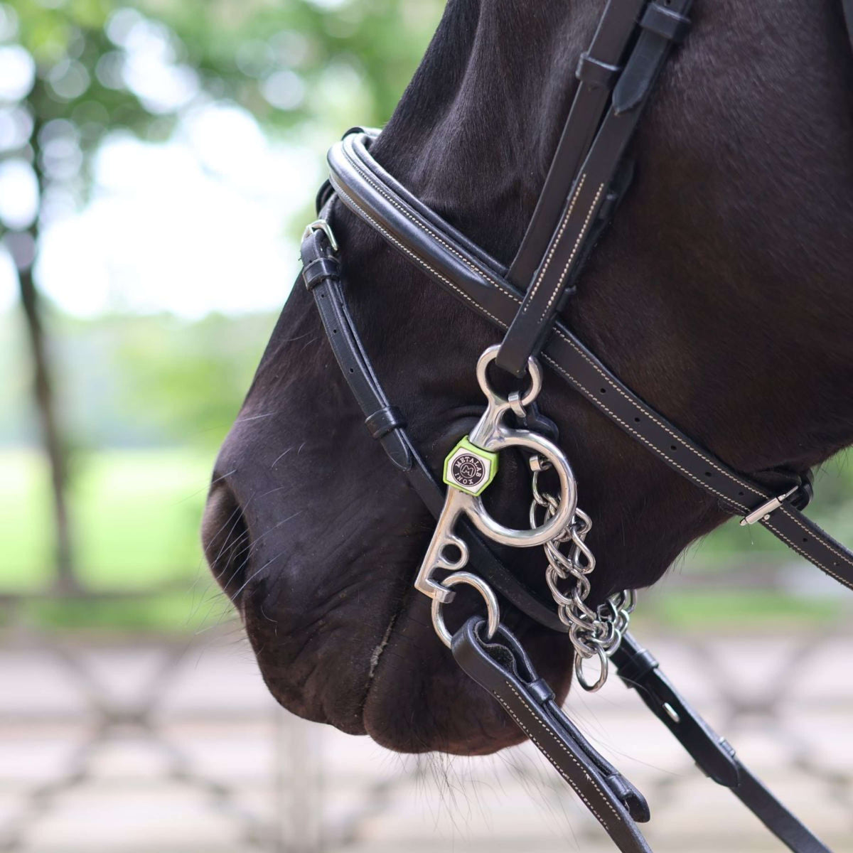 Metalab Il piccolo Pelham Flexi Soft