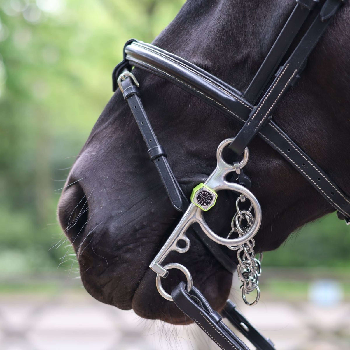 Metalab Il piccolo Pelham Flexi Soft