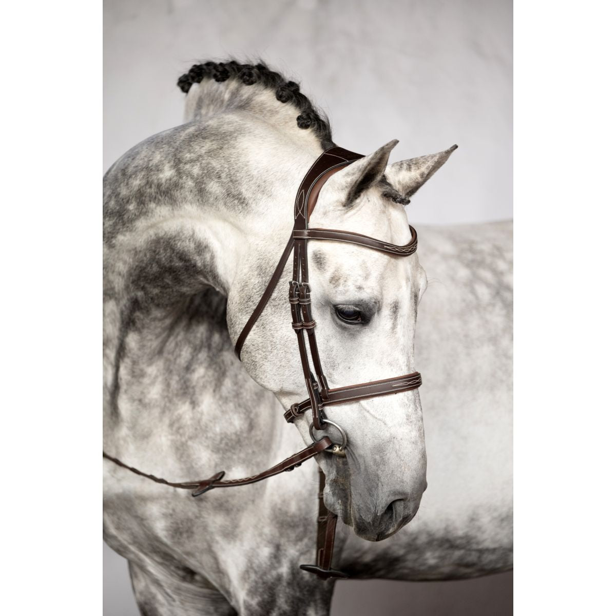 PS of Sweden Briglia Ocala Marrone