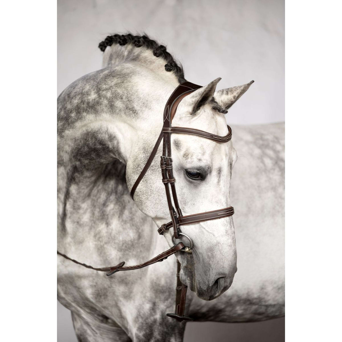 PS of Sweden Briglia Ocala Marrone