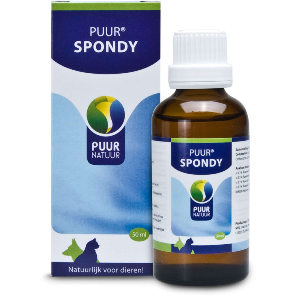PUUR Spondy Cane e Gatto