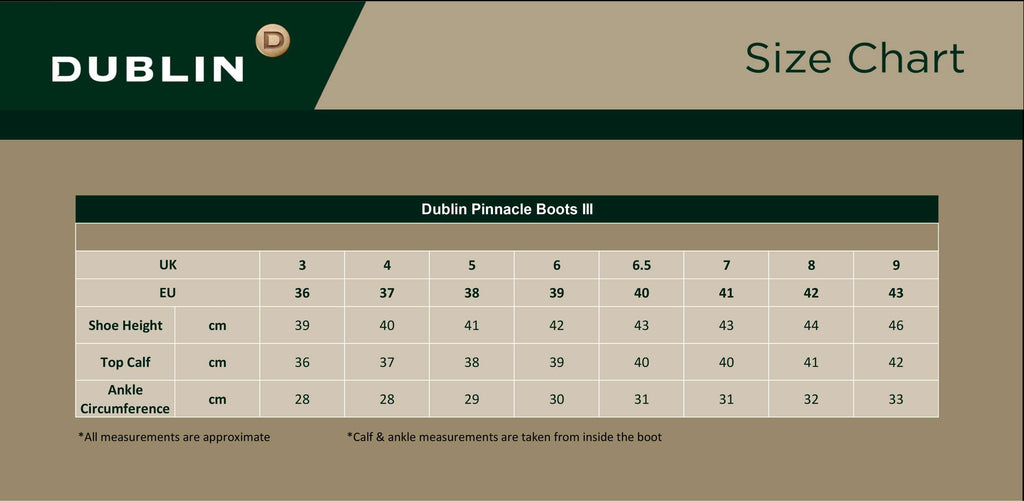 Dublin Stivali da Esterno Pinnacle III Marrone scuro