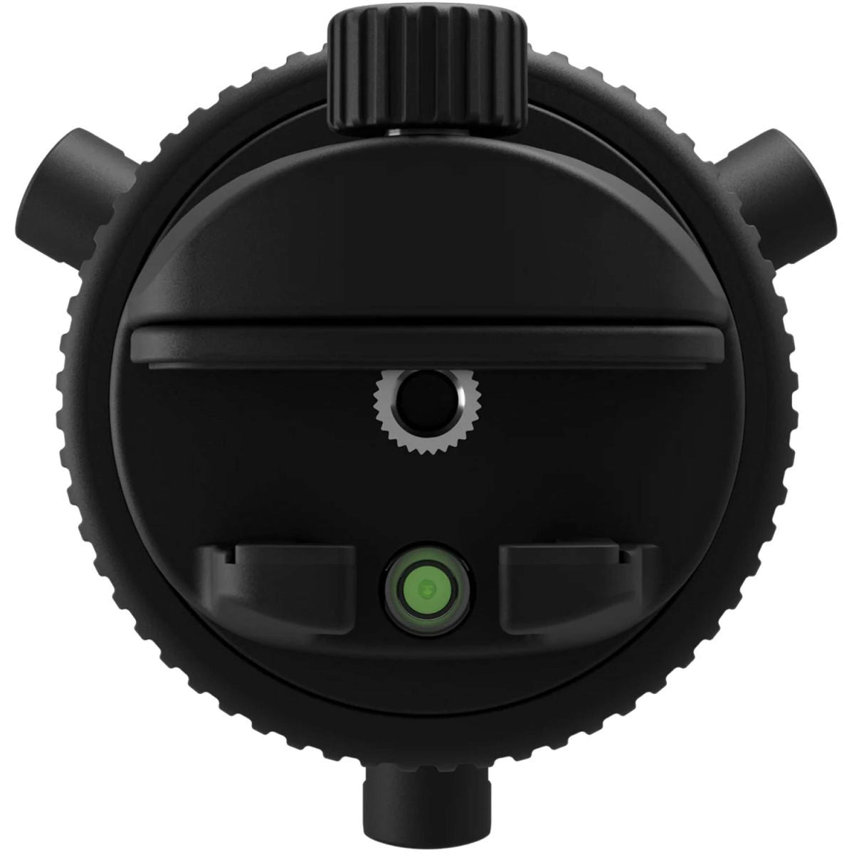 Pivo Baccello Active