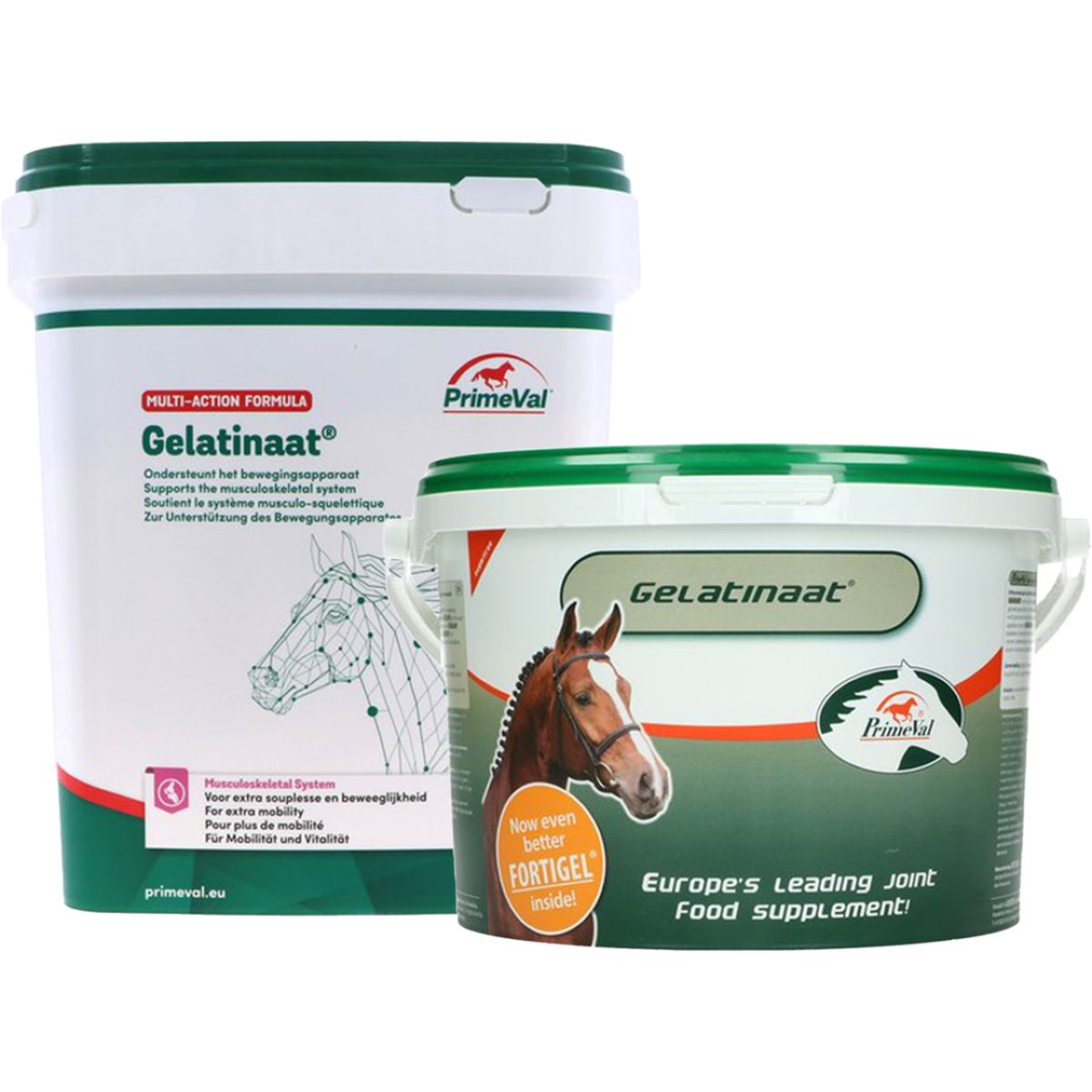 PrimeVal Gelatificato