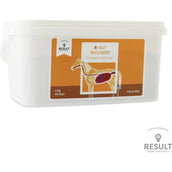Result Equine R-Gut