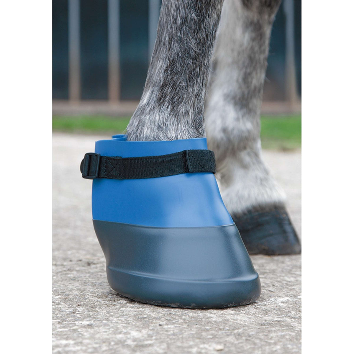 Shires Ferratura Blu