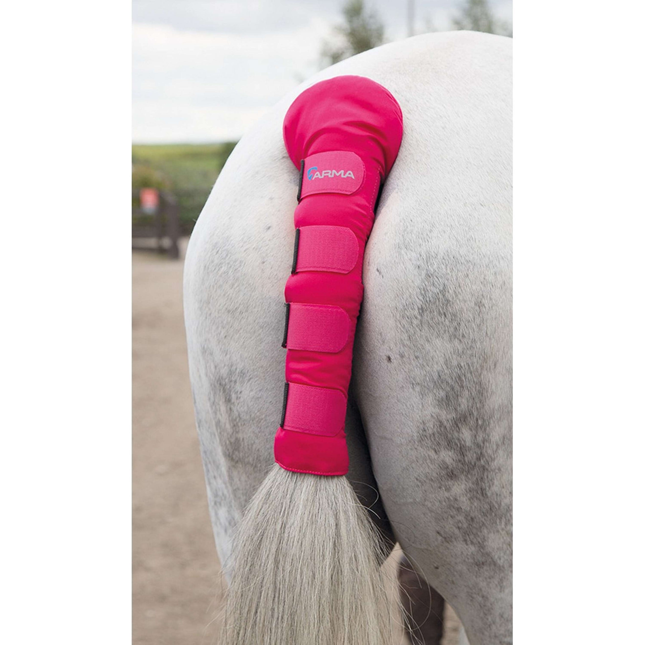 Arma by Shires Protezione della Coda Padded Pink Arma by Shires Protezione della Coda Padded Pink