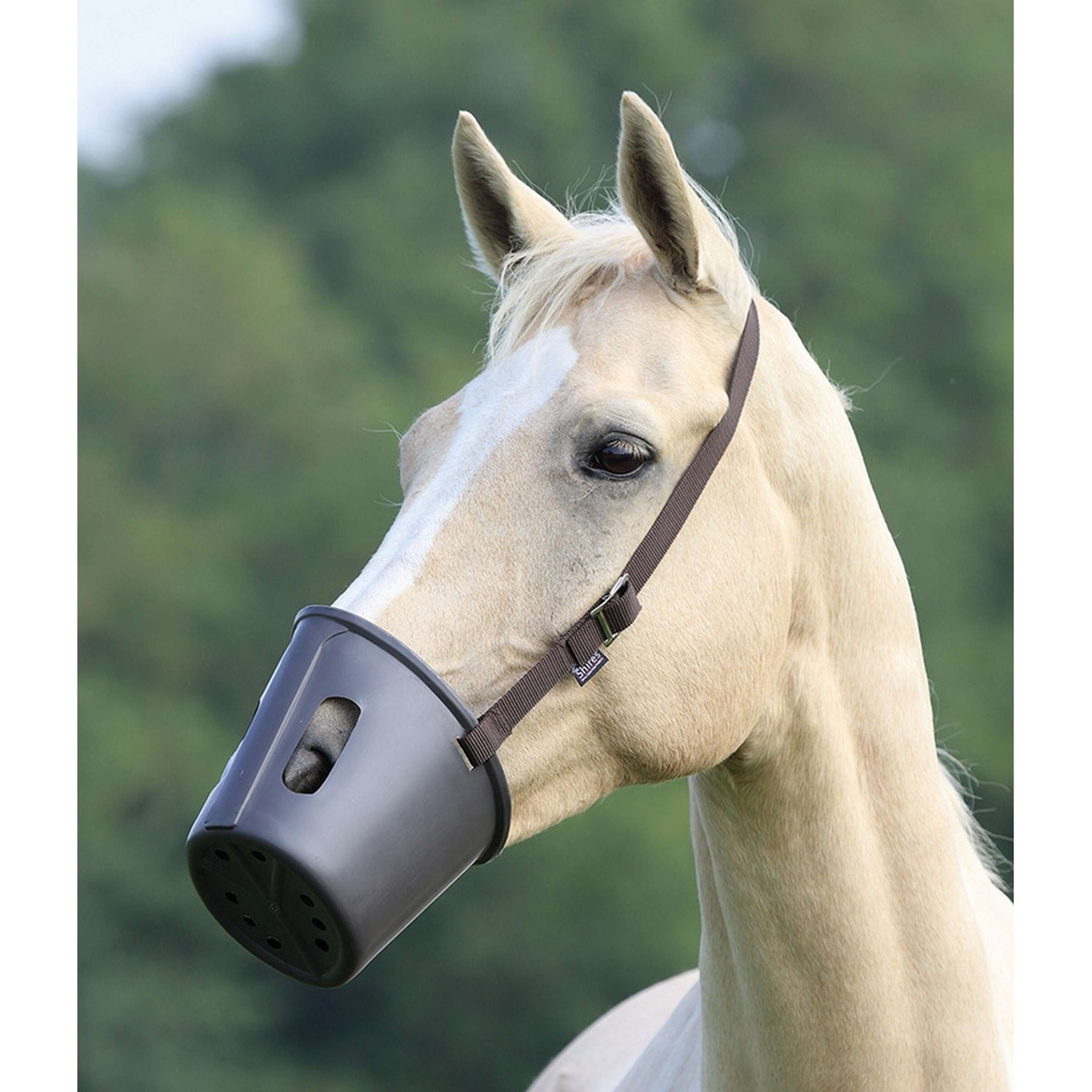 Shires Museruola Marrone Shires Museruola Marrone