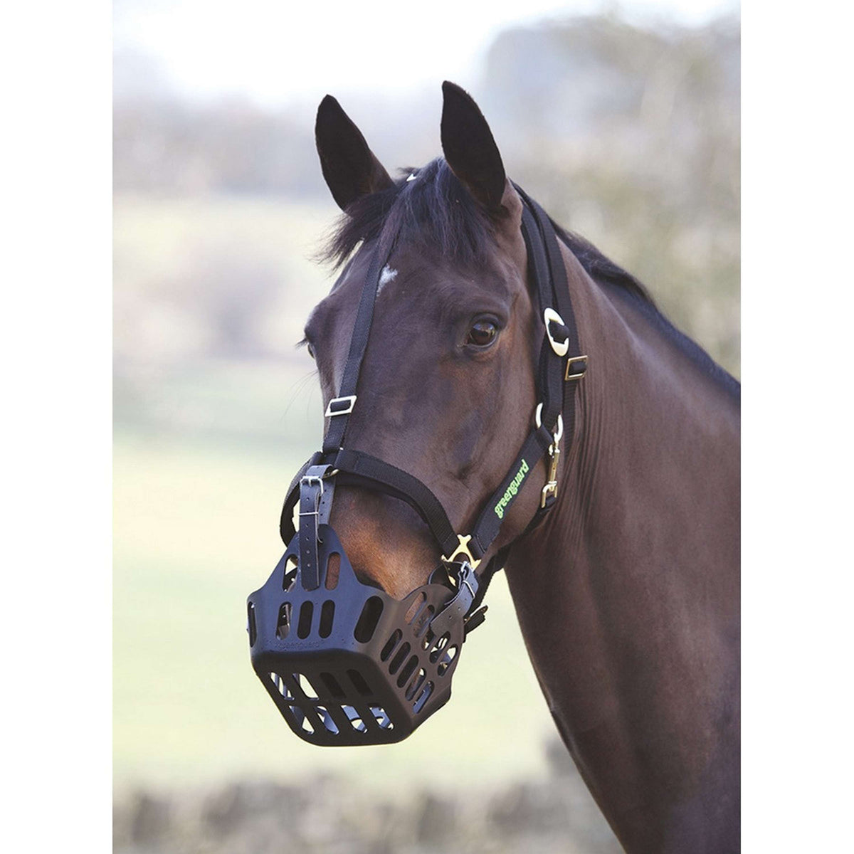 Greenguard by Shires Capezzina Nero