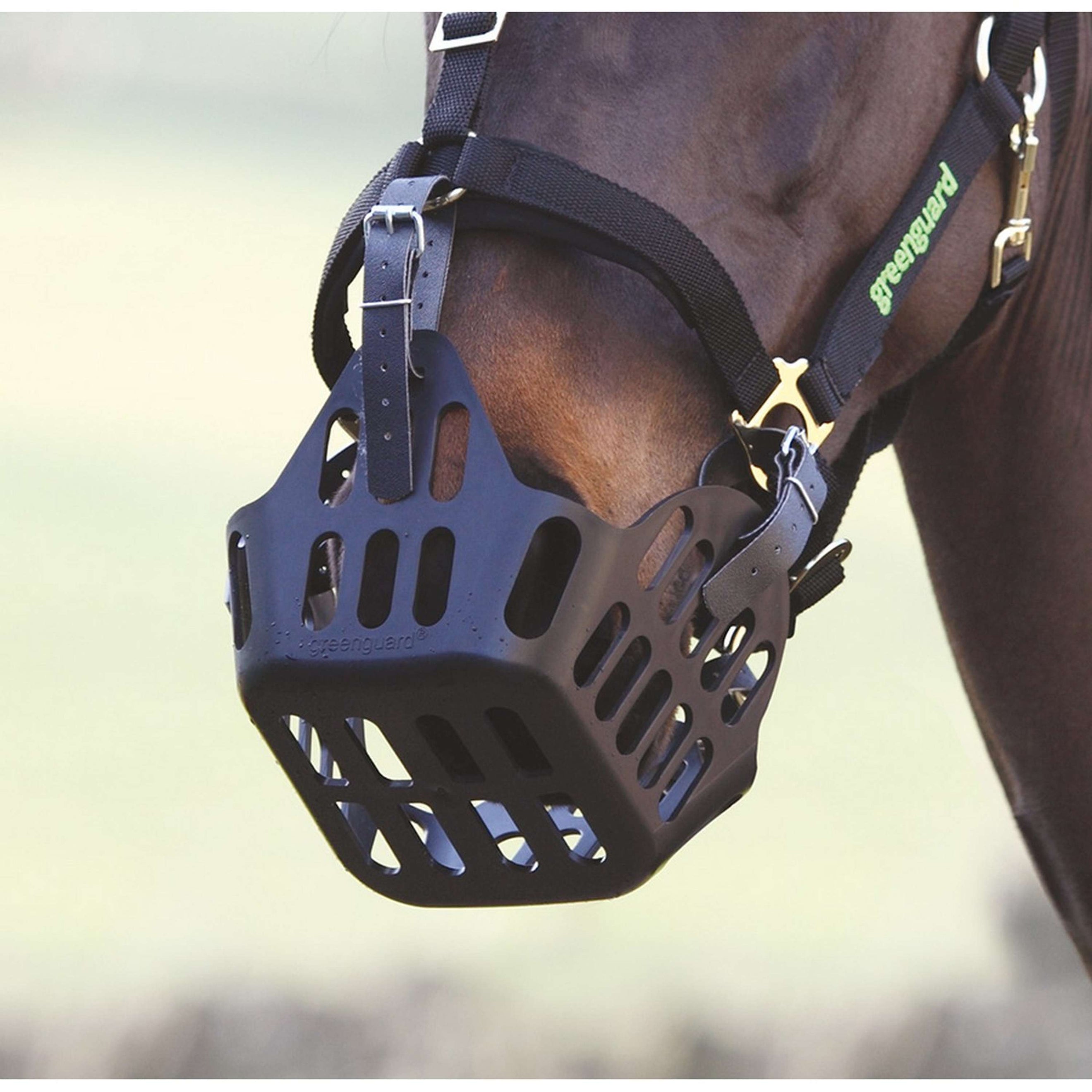 Greenguard by Shires Cinture di Riserva Nero Greenguard by Shires Cinture di Riserva Nero