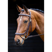 Salisbury by Shires Briglia Buckingham Noce australiana