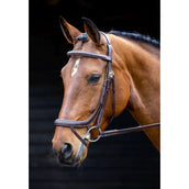 Salisbury by Shires Briglia Buckingham Noce australiana