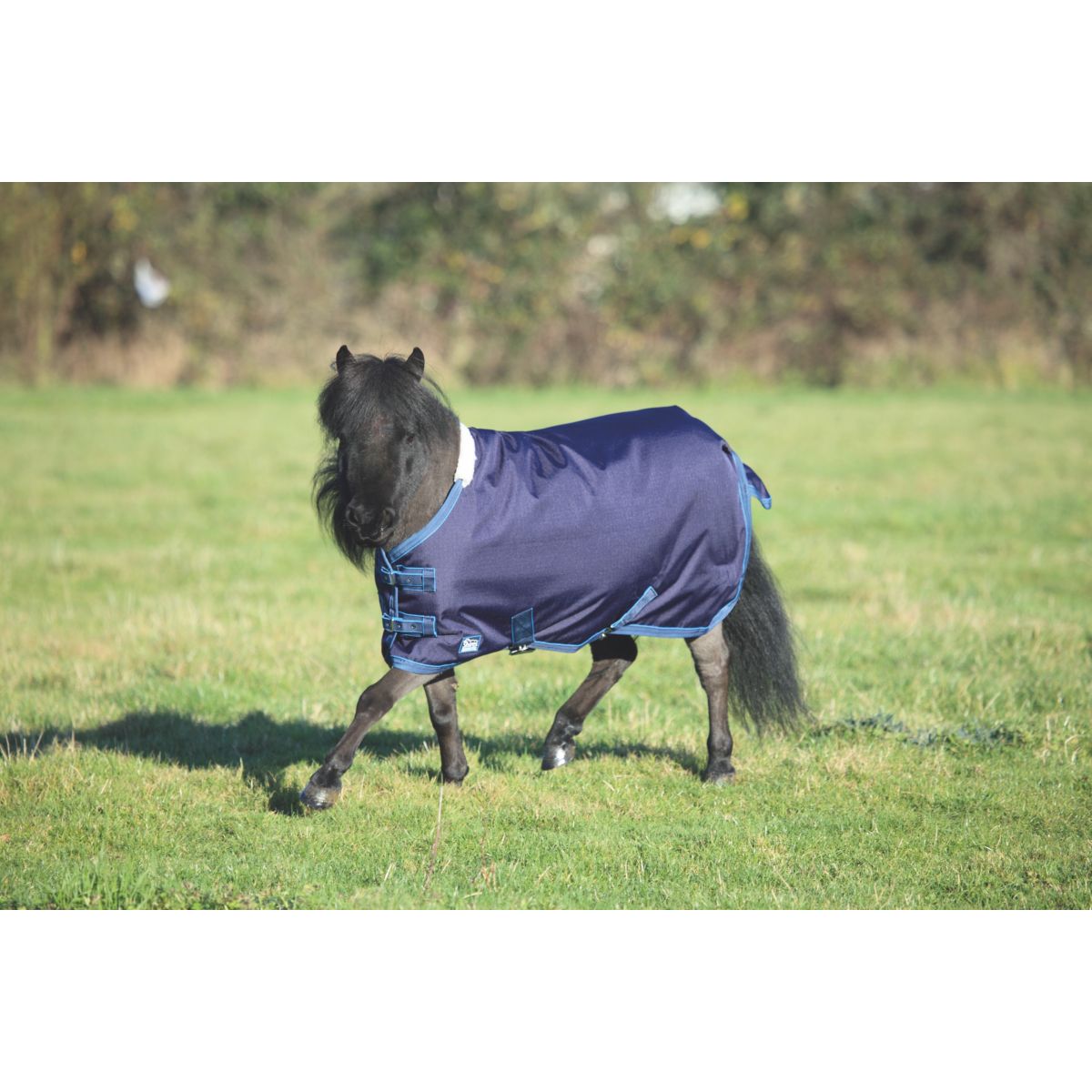 Tempest Original by Shires Coperta Impermeabile Lite Mini Navy