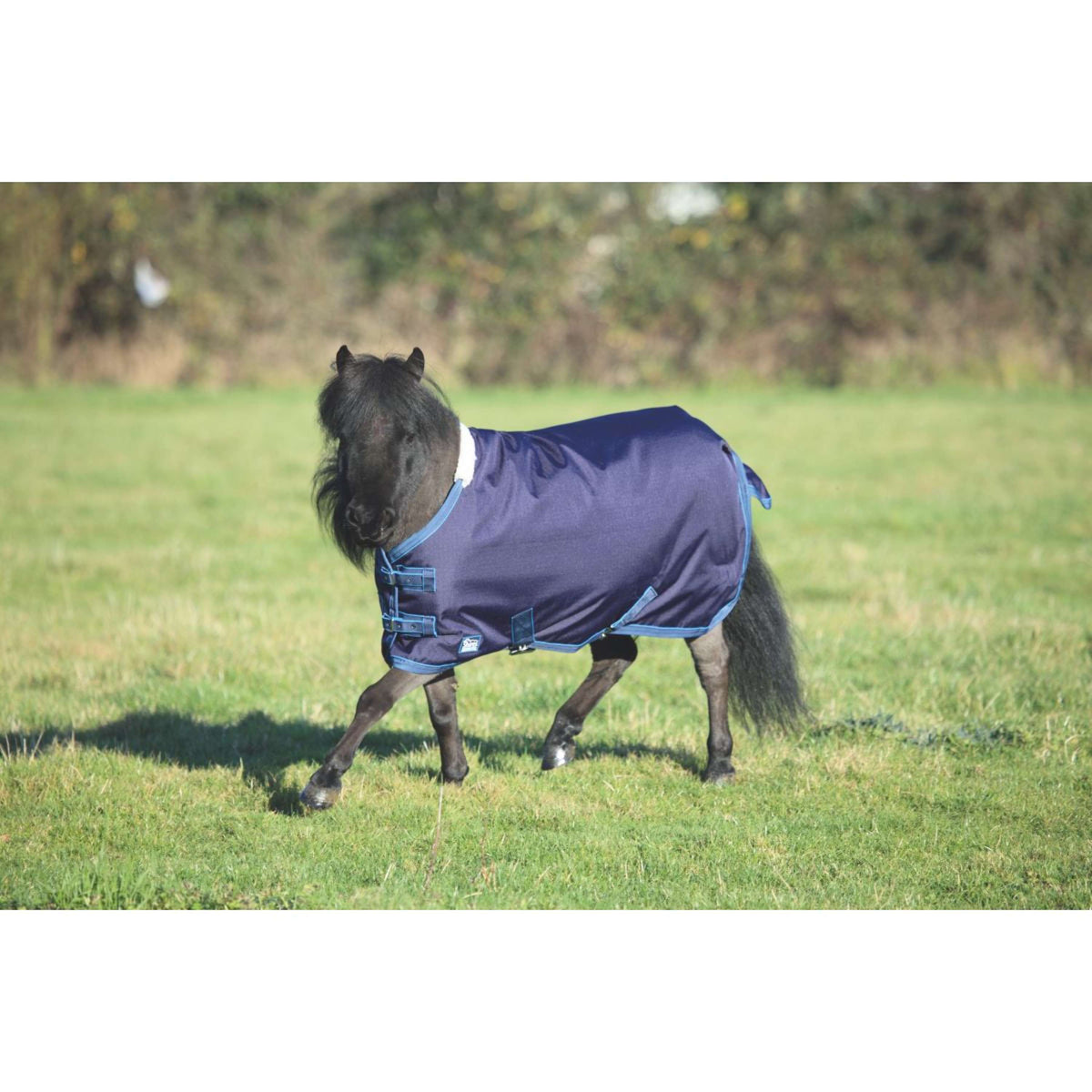 Tempest Original by Shires Coperta Impermeabile Lite Mini Navy
