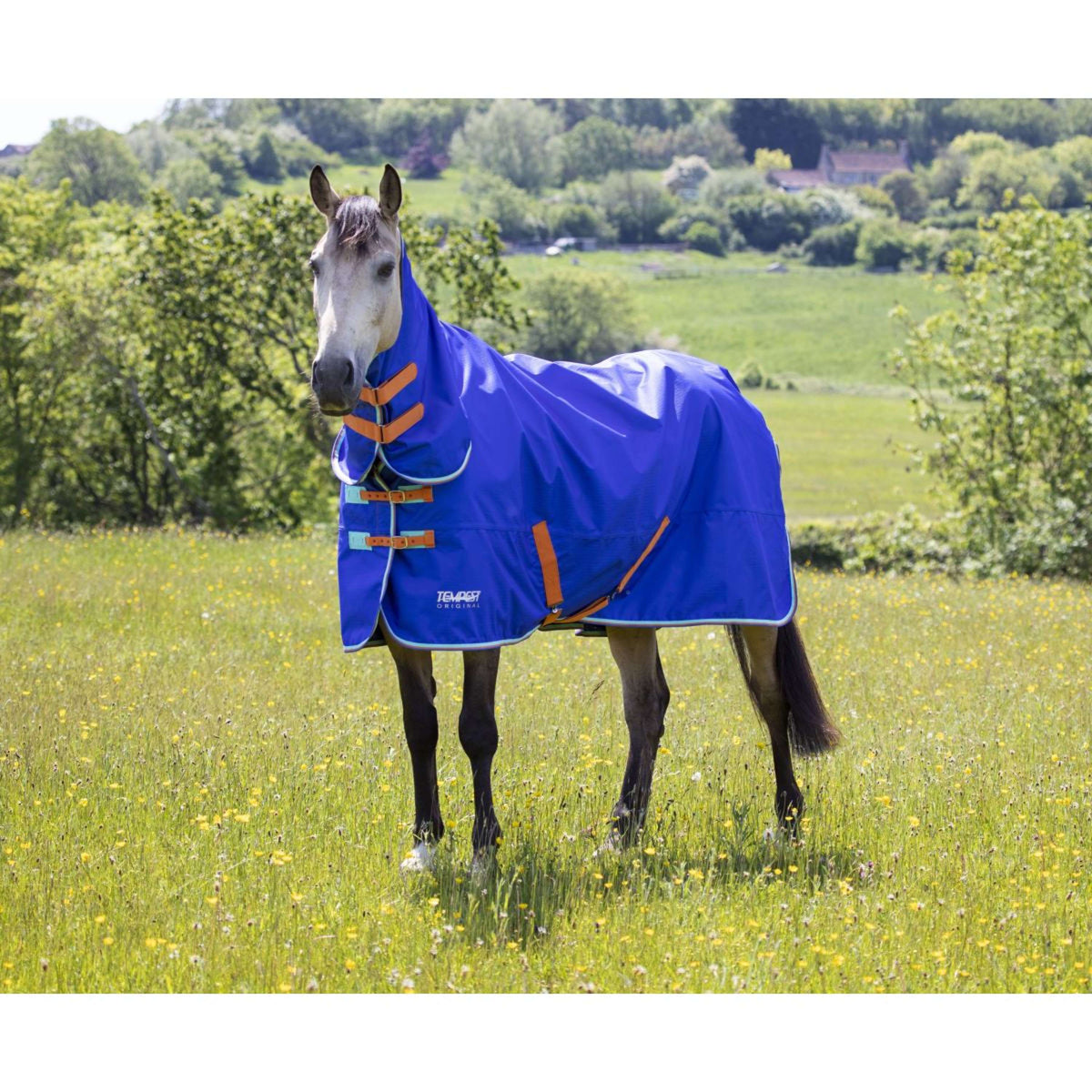 Tempest Original by Shires Coperta Invernale Turnout 50 Combo Royal