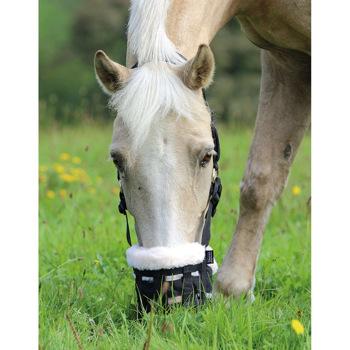 Shires Museruola per Pascolo Deluxe Comfort Nero