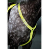Equi-Flector by Shires Cuffietta Giallo Fluo