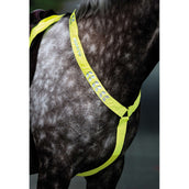 Equi-Flector by Shires Cuffietta Giallo Fluo