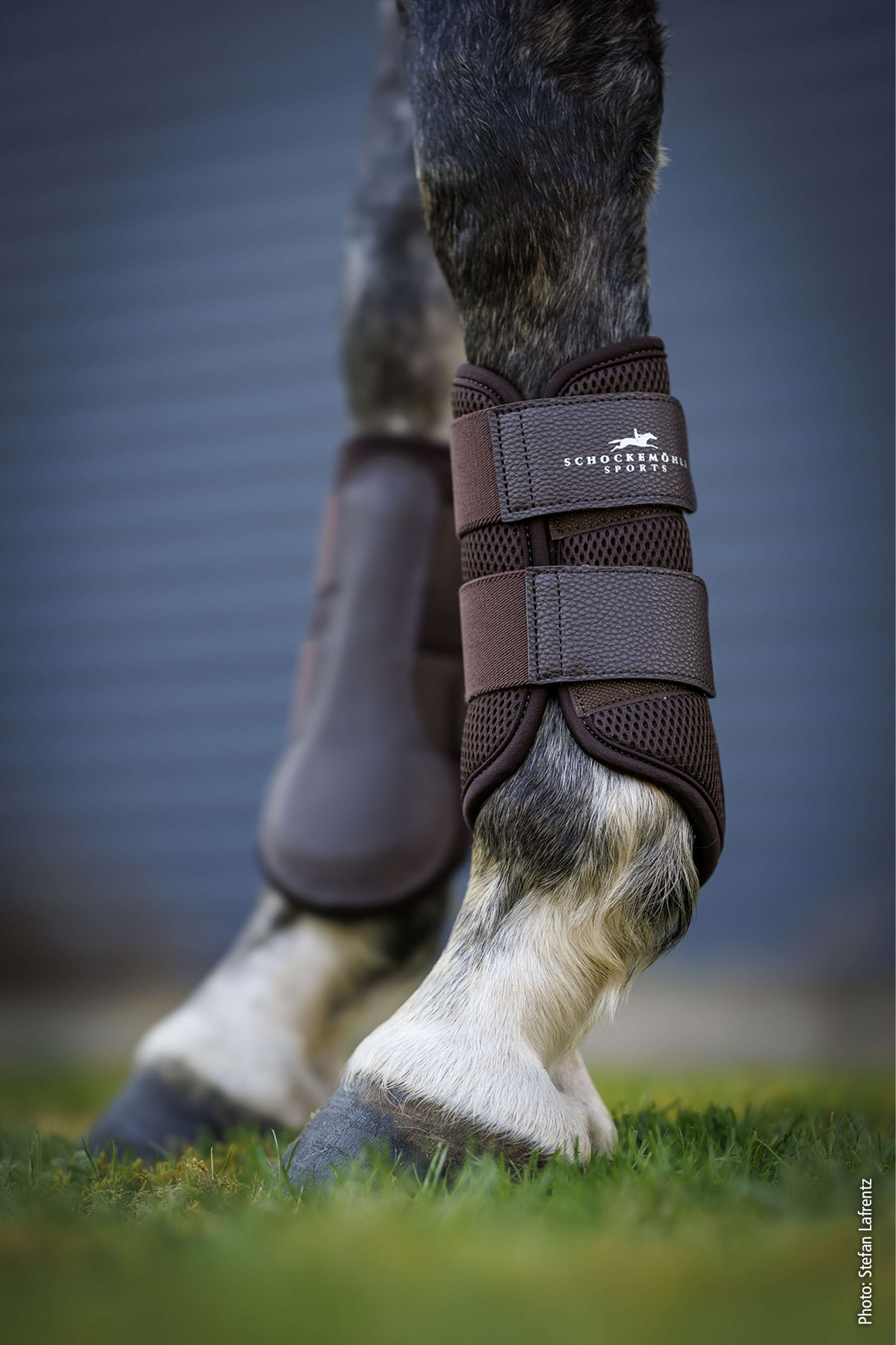 Schockemöhle Parastinchi Mesh Guards Mocca