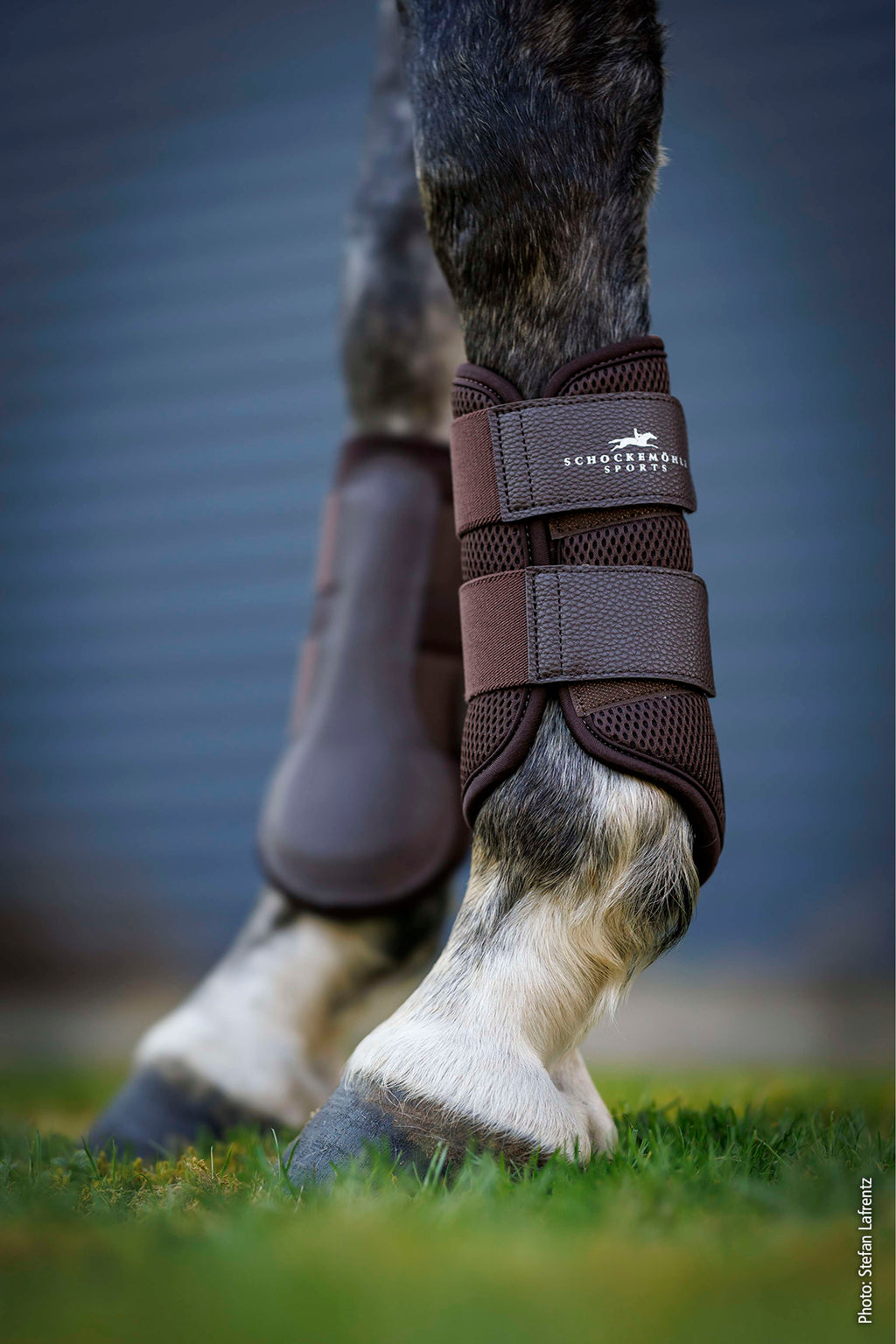 Schockemöhle Parastinchi Mesh Guards Mocca