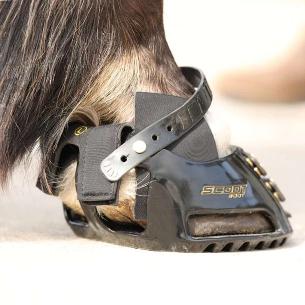 Scoot Boot Ghetta ibrida Nero