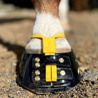 Scoot Boot Cinghia di fango Marigold