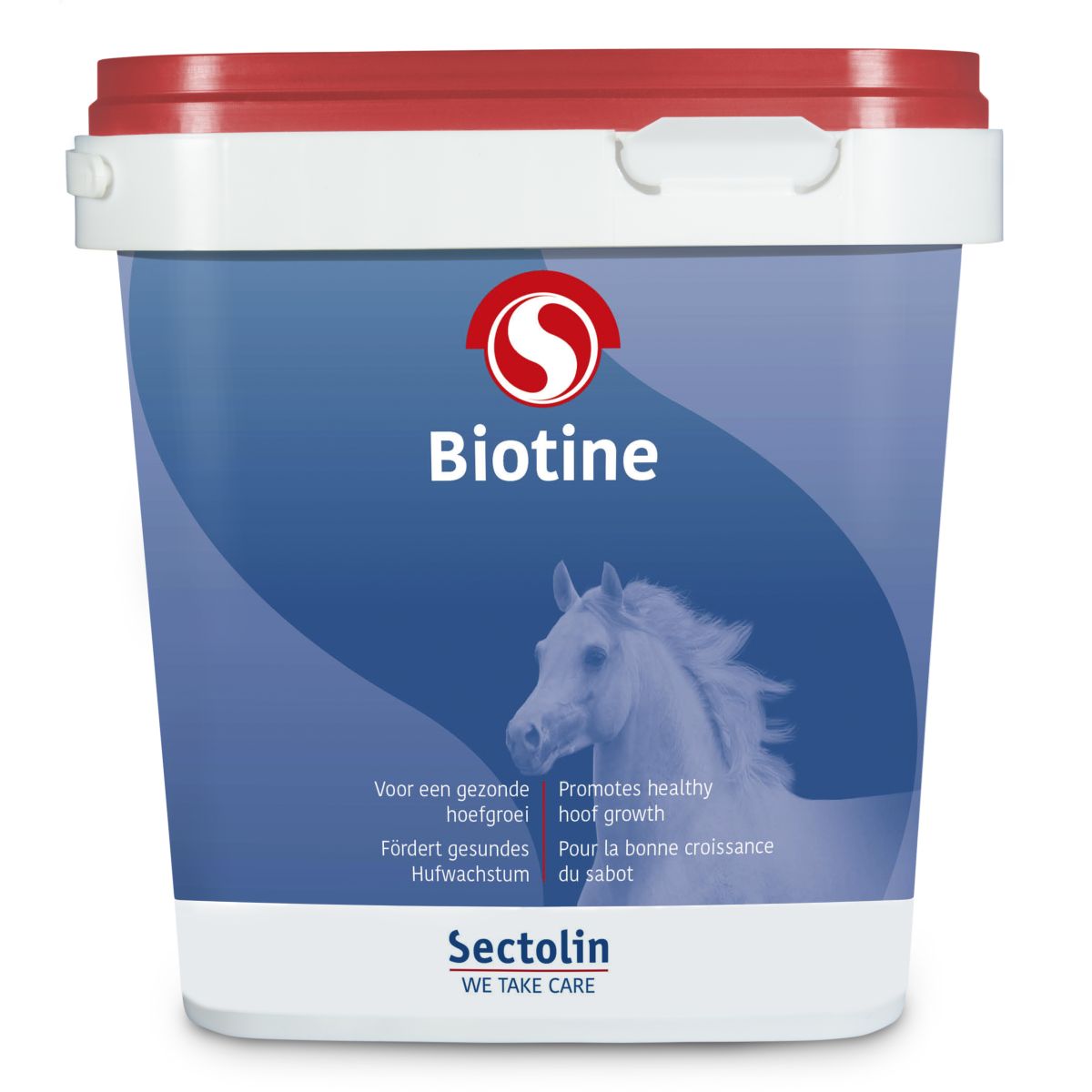 Sectolin Biotina Equivital