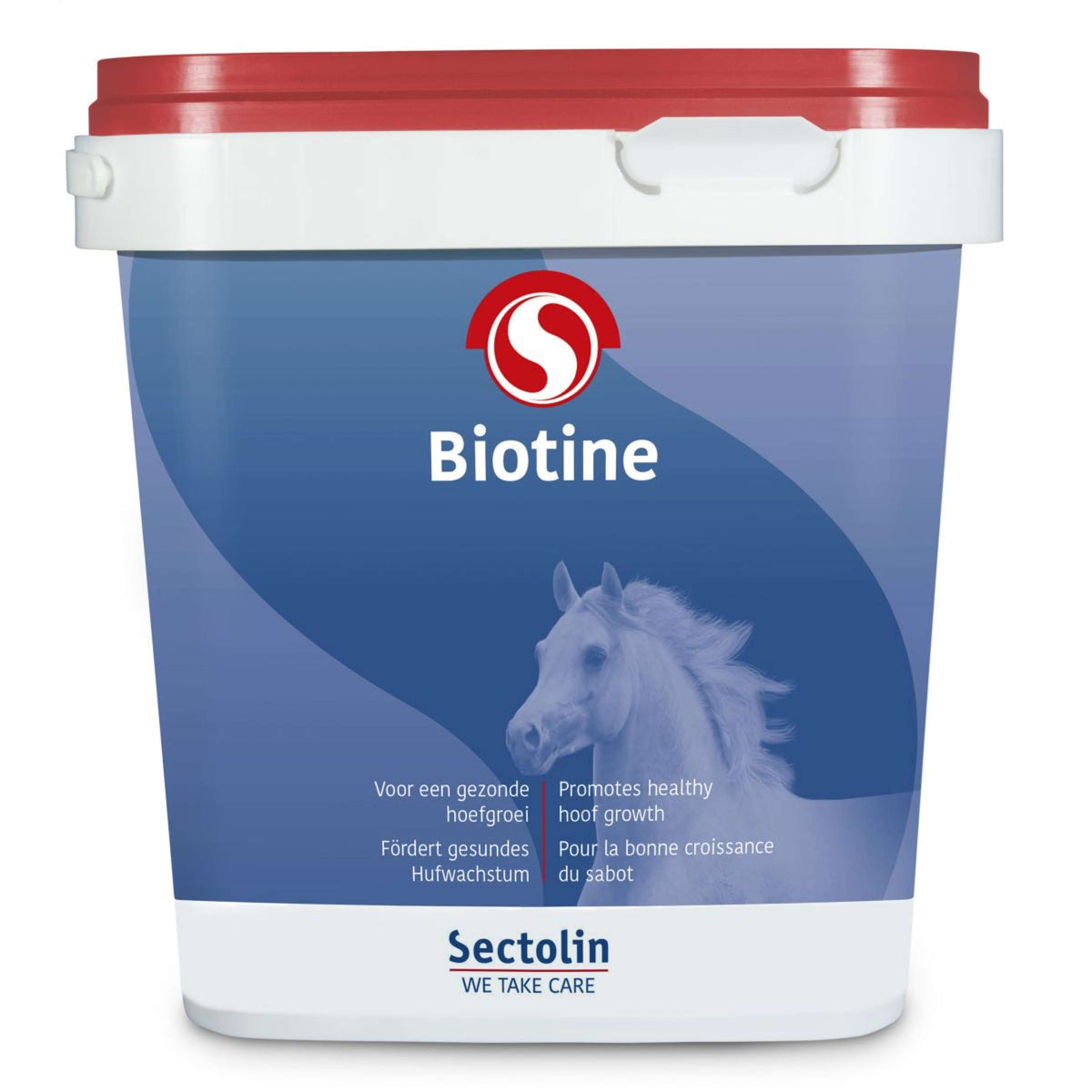Sectolin Biotina Equivital