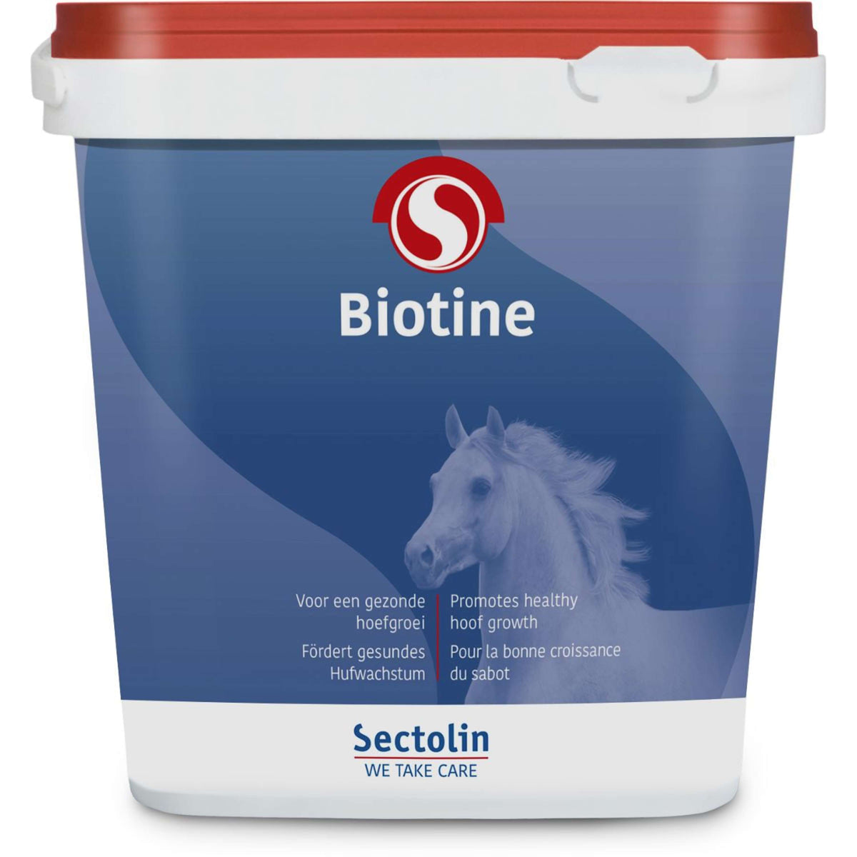 Sectolin Biotina Equivital