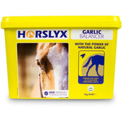Horslyx Pietra da Leccare Garlic