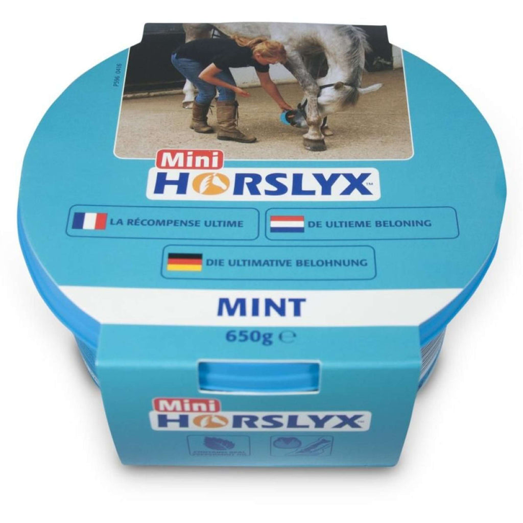 Horslyx Pietra da Leccare Mint