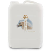 Rapide Spray Districante