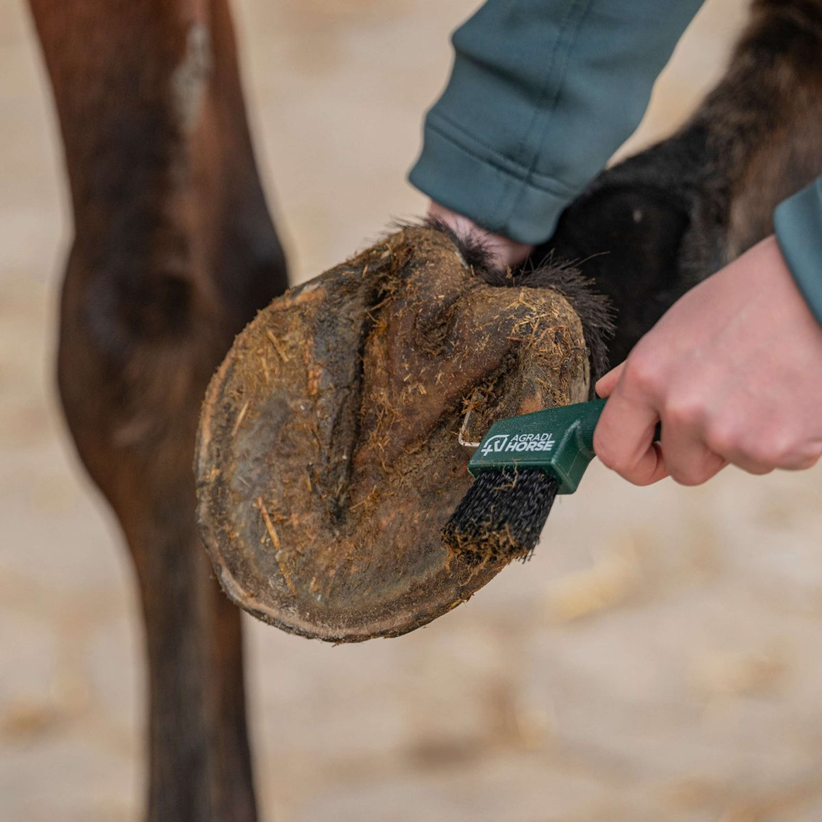 Agradi Horse Netta unghie Fir Green