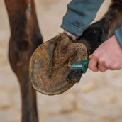 Agradi Horse Netta unghie Fir Green