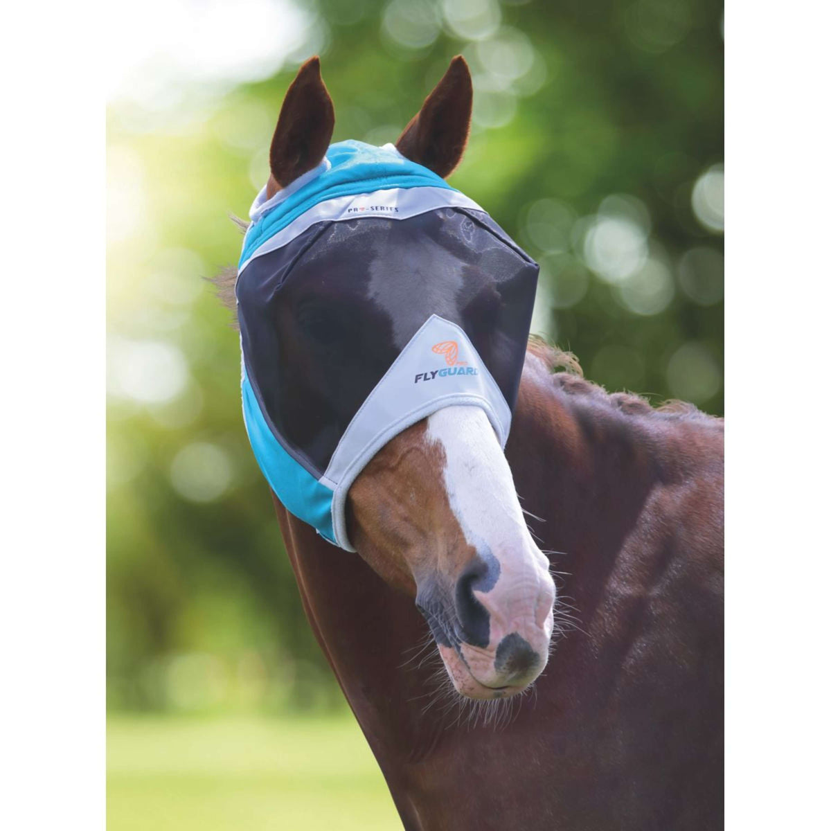 Shires Maschera Antimosche Oor Gaten Mesh Teal