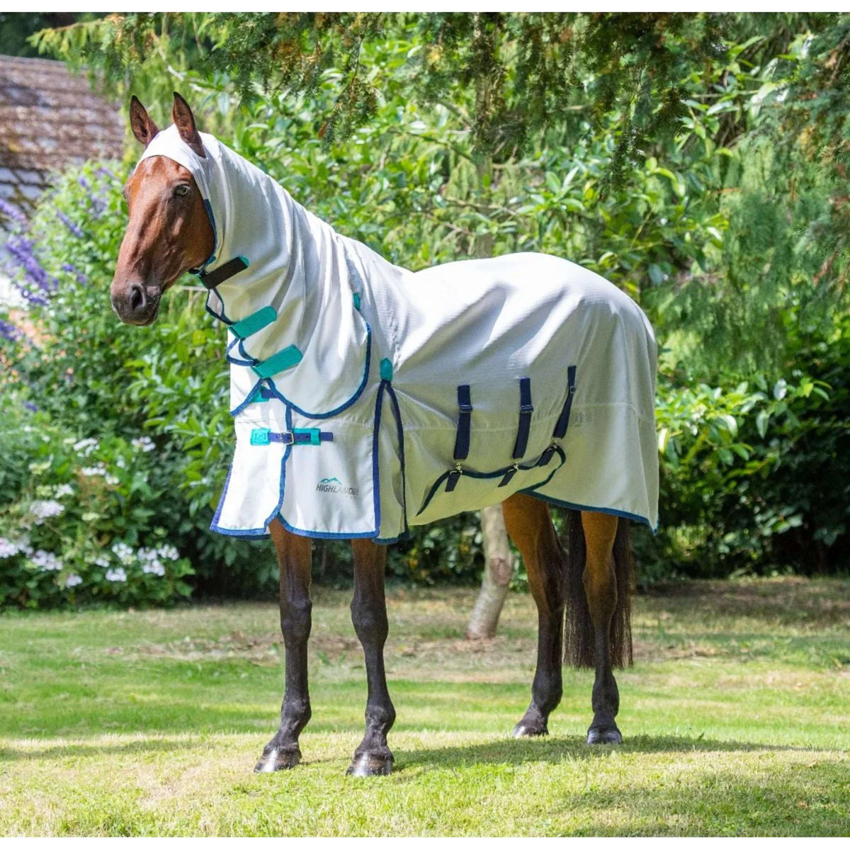 Highlander Plus by Shires Coperta per Eczema Sweet-Itch Combo Bianco