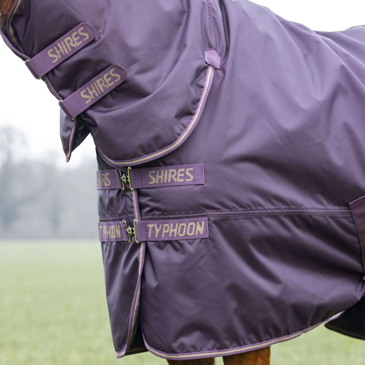Tempest Coperta Invernale Turnout Typhoon 100g Black Cherry