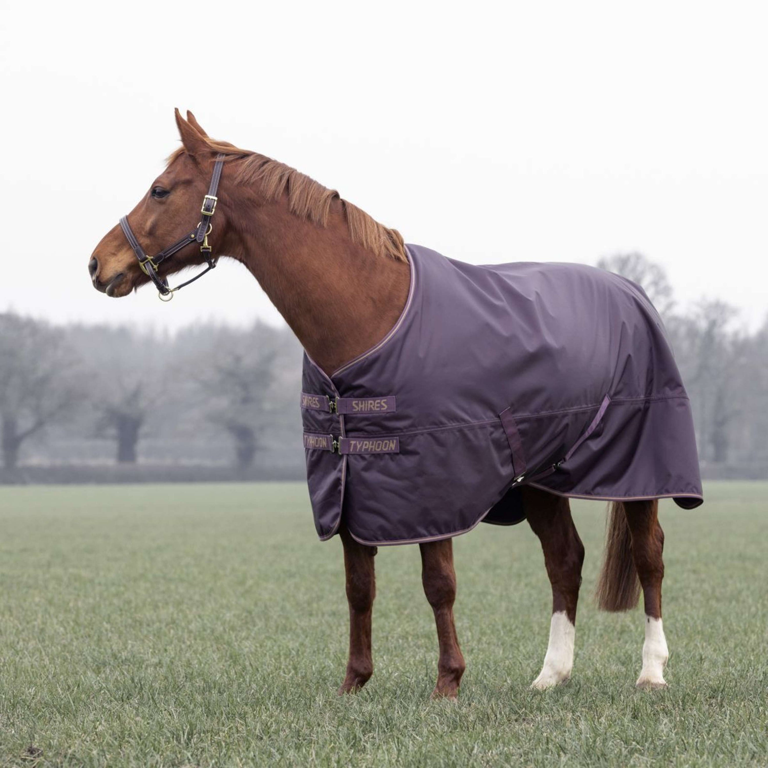 Tempest by Shires Coperta Invernale Turnout Typhoon 100g Black Cherry