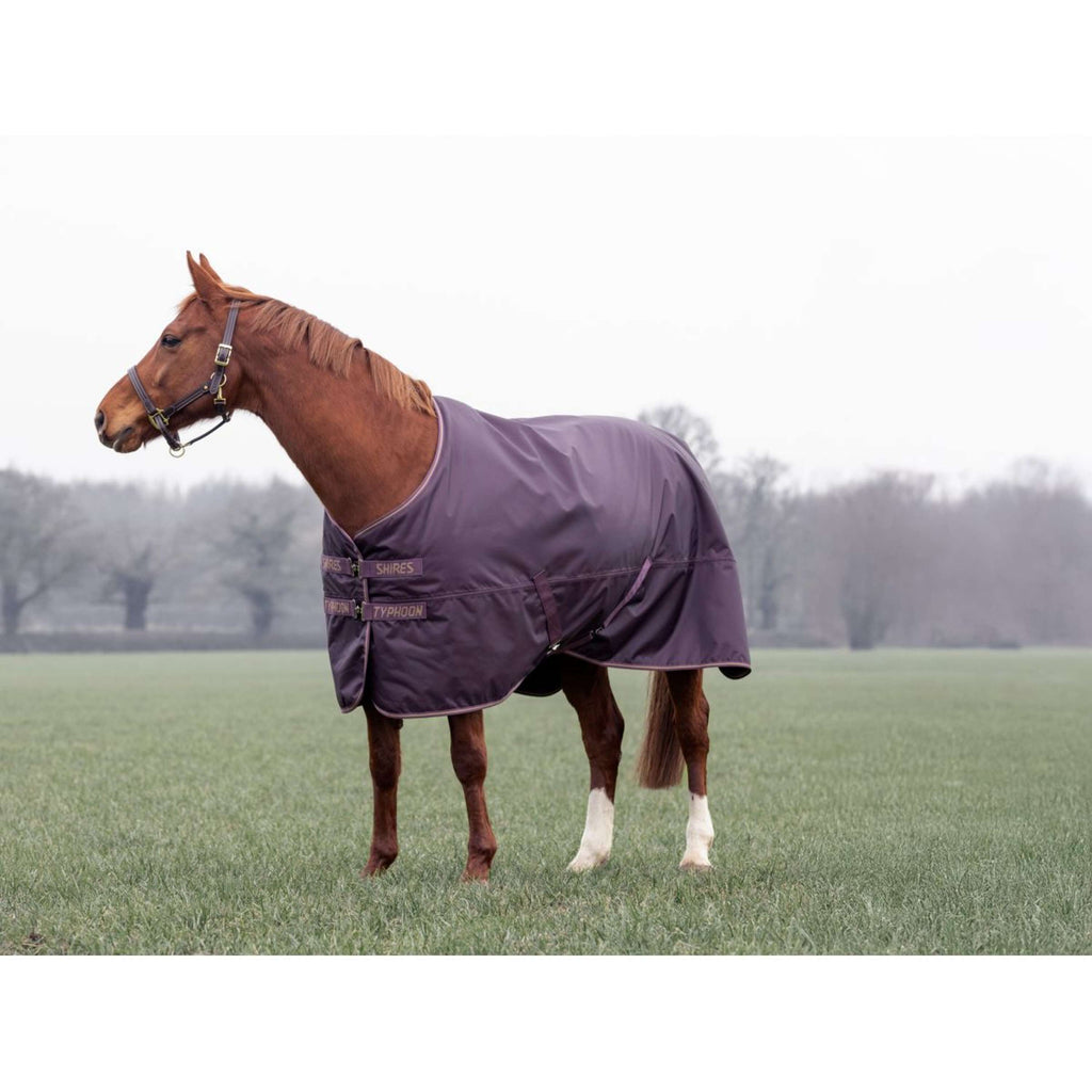 Tempest by Shires Coperta Invernale Turnout Typhoon 100g Black Cherry