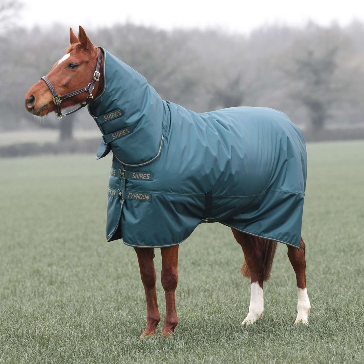 Tempest Coperta Invernale Turnout Typhoon 200g Verde