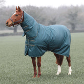 Tempest Coperta Invernale Turnout Typhoon 200g Verde