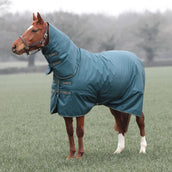Tempest Coperta Invernale Turnout Typhoon Combo 200g Verde