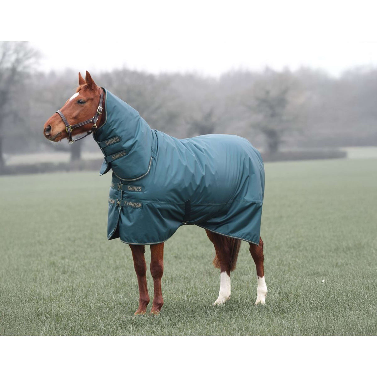 Tempest Coperta Invernale Turnout Typhoon 200g Verde
