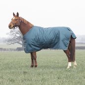 Tempest Coperta Invernale Turnout Typhoon 200g Verde