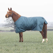 Tempest Coperta Invernale Turnout Typhoon 200g Verde