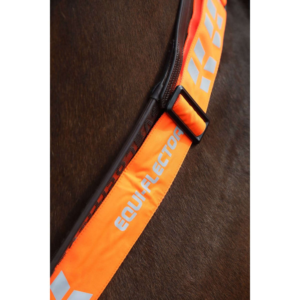 Equi-Flector by Shires Cinghia Frontale Arancia